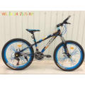 Jiebao Model Mountain Bicycle MTB Mountain Bike